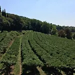 Villa Sogara San Martino Buon Albergo