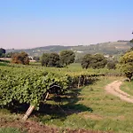 Sogara