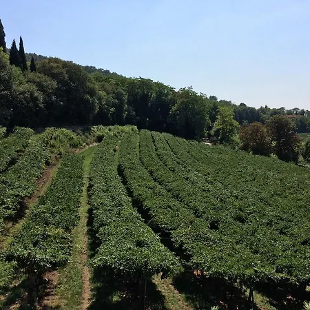 Villa Sogara San Martino Buon Albergo