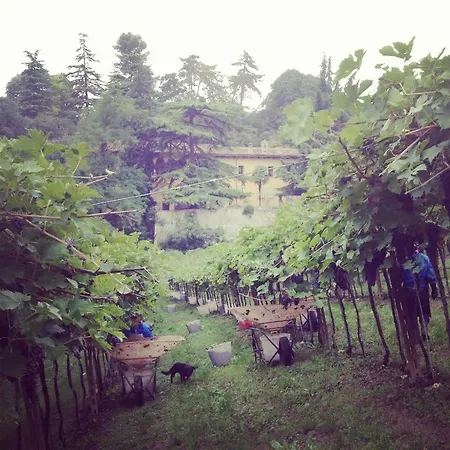 Sogara Villa *