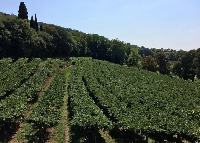 Villa Sogara San Martino Buon Albergo